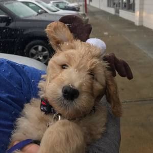 Meet your Posher, Jason